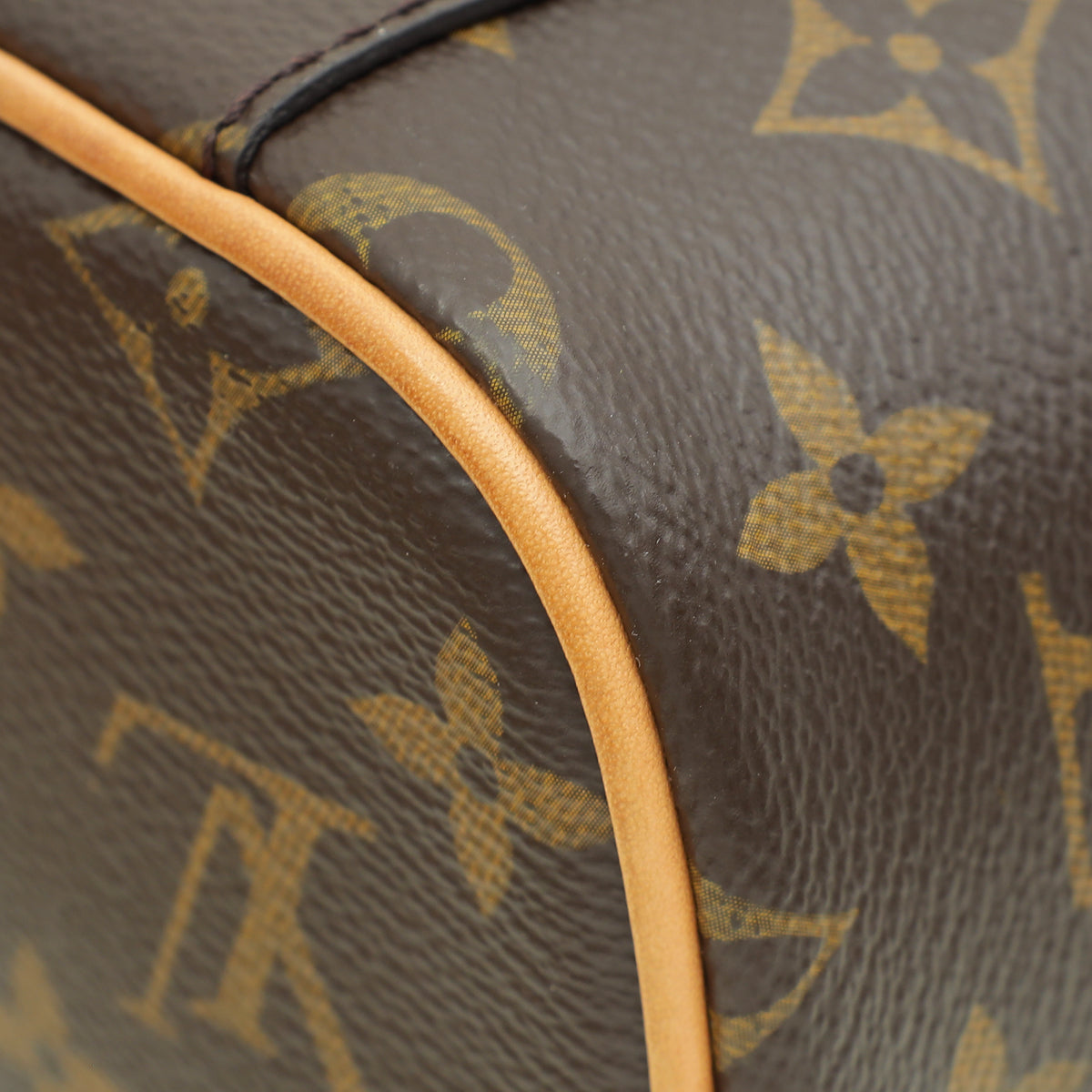 Louis Vuitton Monogram Nano Nice Bag