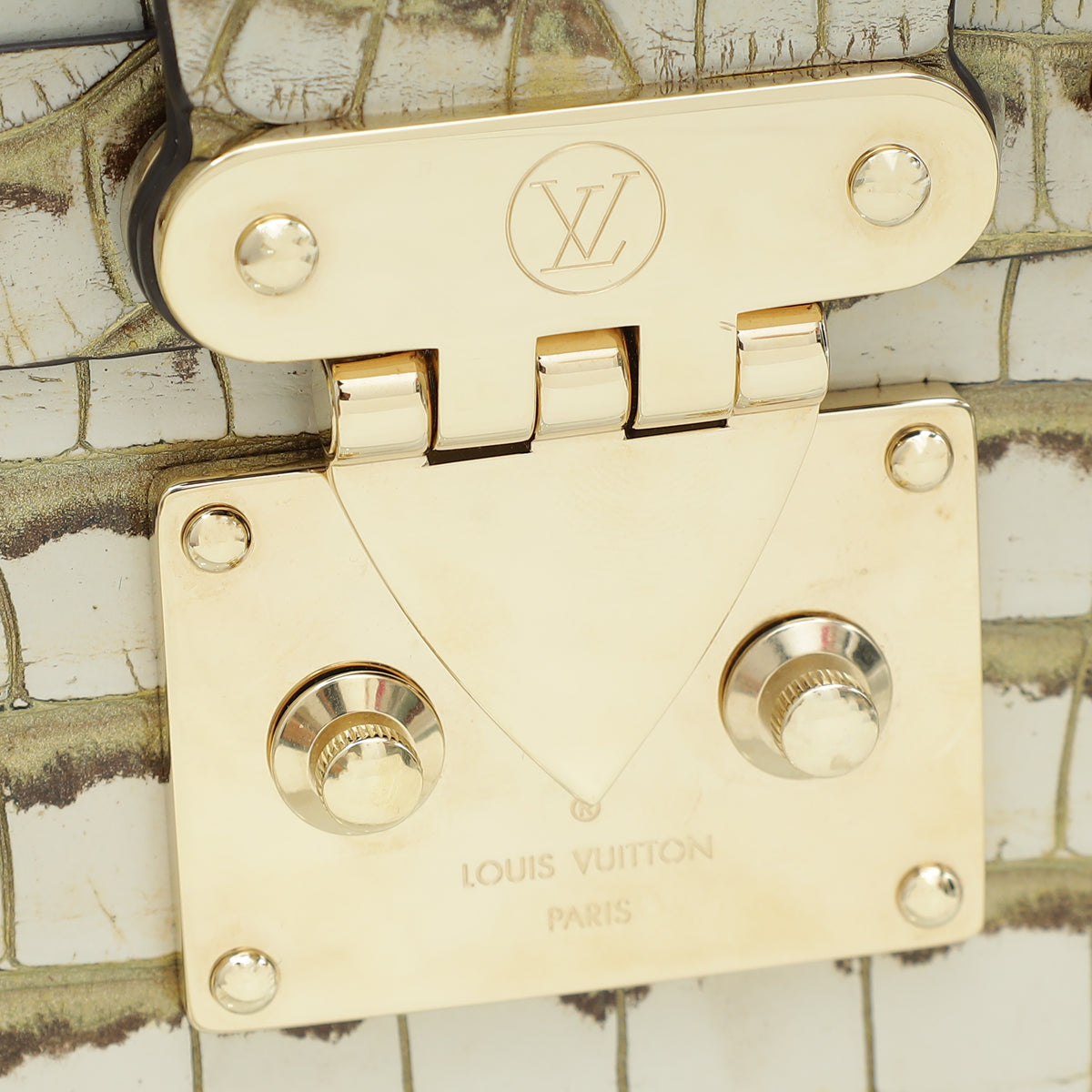 Louis Vuitton Bicolor Alligator Petite Malle Bag-Louis Vuitton-THE CLOSET