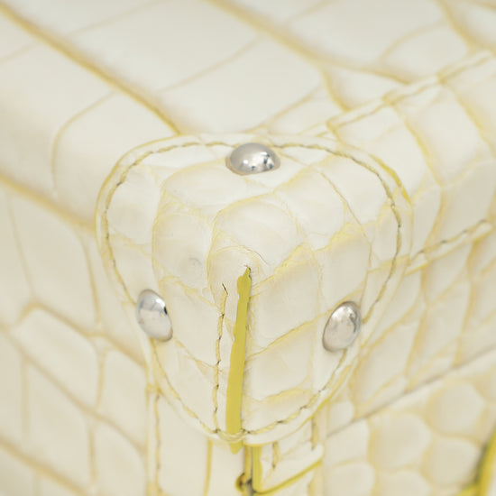 Louis Vuitton Bicolor Matte Alligator Petite Malle Bag-Louis Vuitton-THE CLOSET