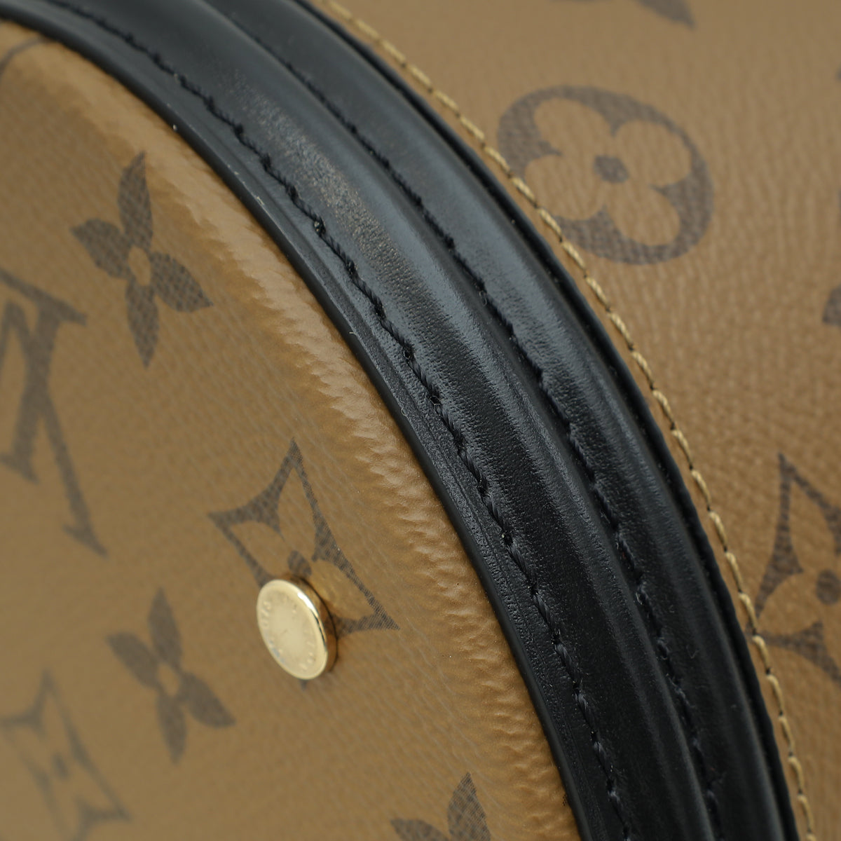 Louis Vuitton Monogram & Monogram Reverse Cannes Bag