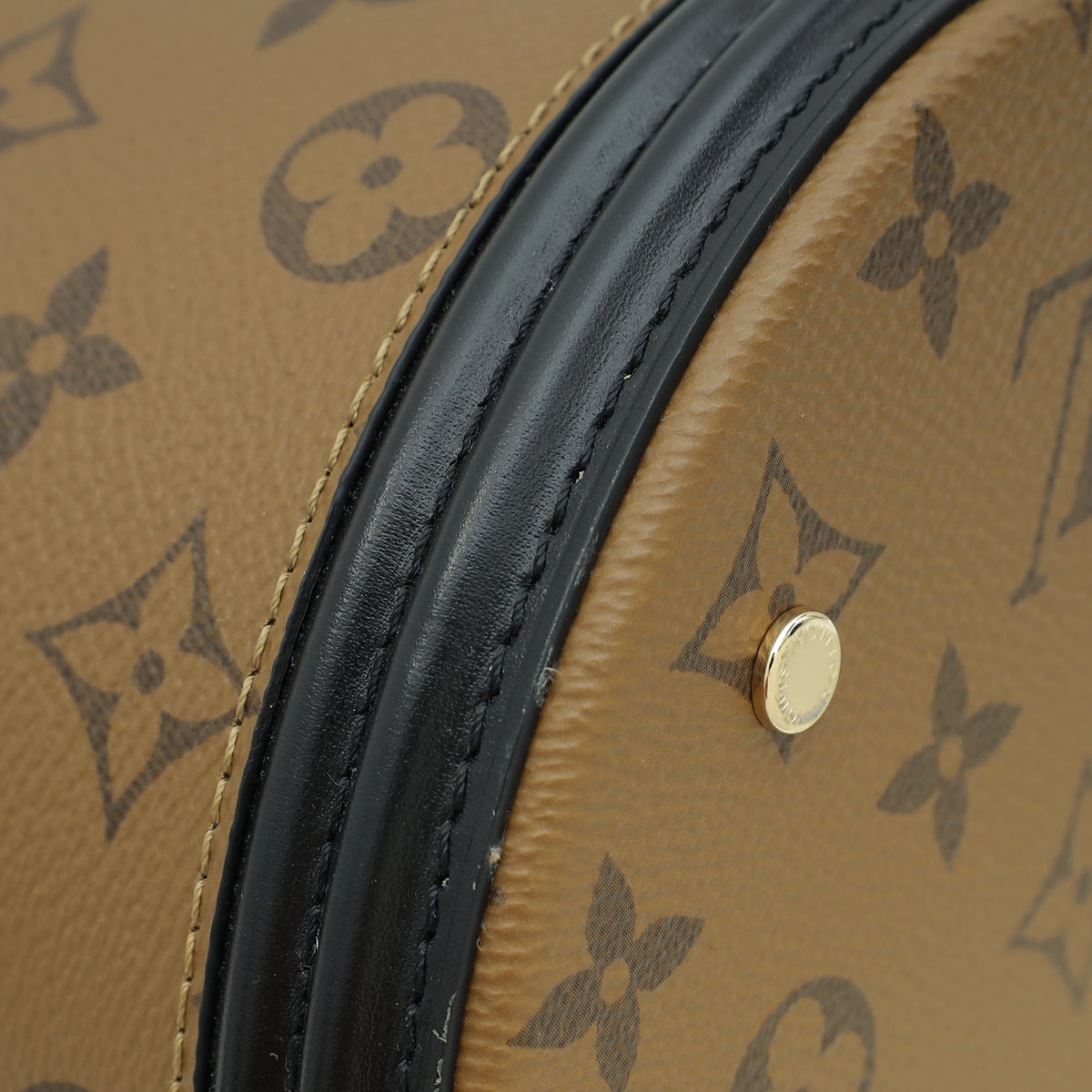 Louis Vuitton Monogram & Monogram Reverse Cannes Bag