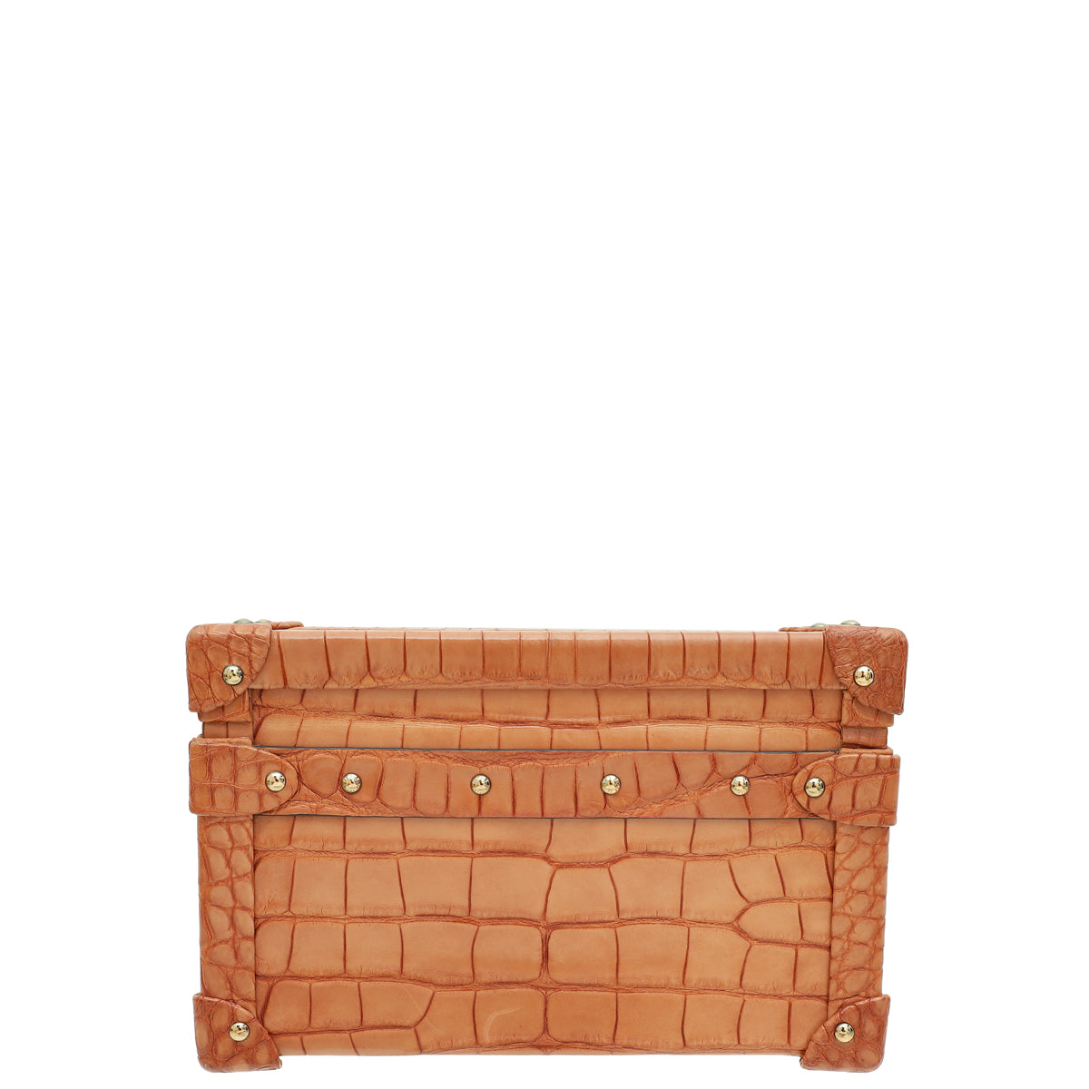 Louis Vuitton Light Brown Alligator Petite Malle Bag-Louis Vuitton-THE CLOSET