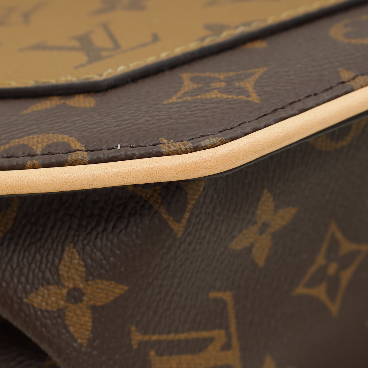 Louis Vuitton Monogram Around Me PM Bag