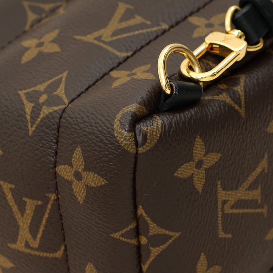 Louis Vuitton Brown Monogram Palm Springs Mini Bag-Louis Vuitton-THE CLOSET