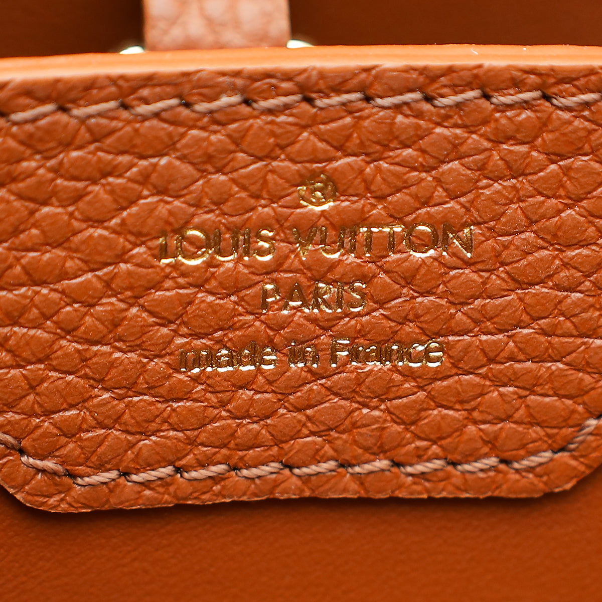 Louis Vuitton Bicolor Taurillon Capucines MM Bag