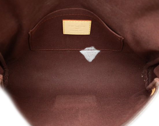 Louis Vuitton Monogram Favorite MM Bag