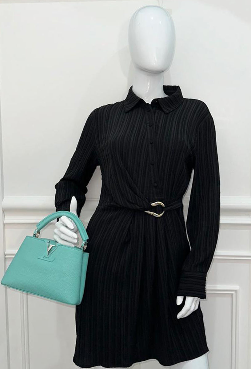 Louis Vuitton Miami Green Capucines  Mini Bag