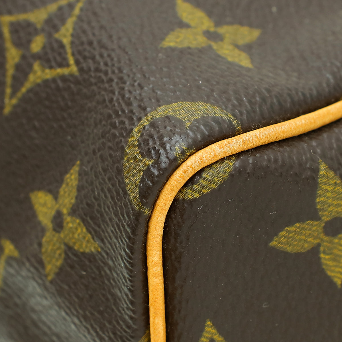 Louis Vuitton Monogram Nano Speedy Bag