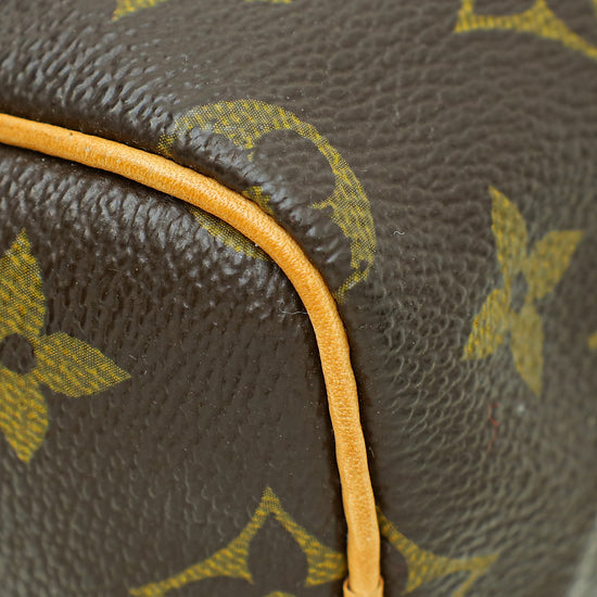 Louis Vuitton Monogram Nano Speedy Bag