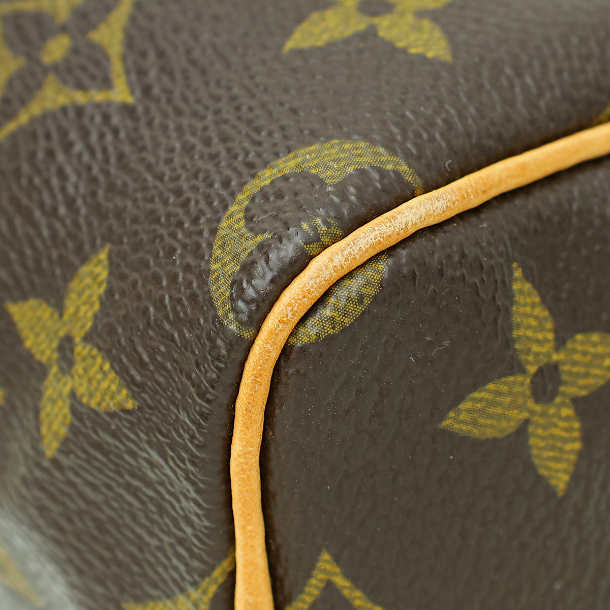 Louis Vuitton Monogram Nano Speedy Bag