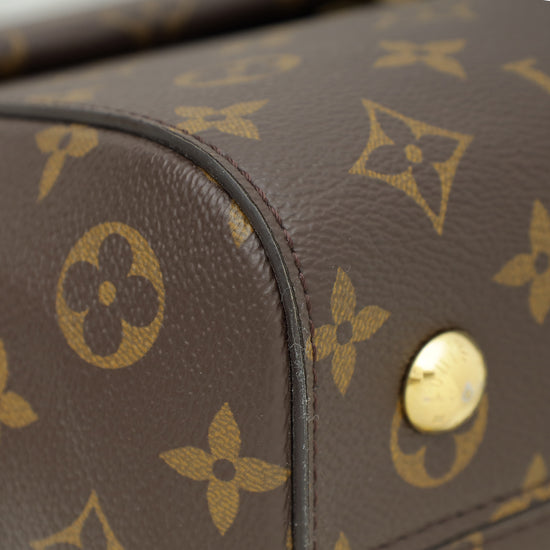 Louis Vuitton Monogram Cluny MM Bag