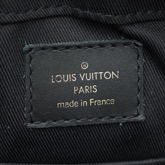 Louis Vuitton Bicolor Monogram Saintonge Bag