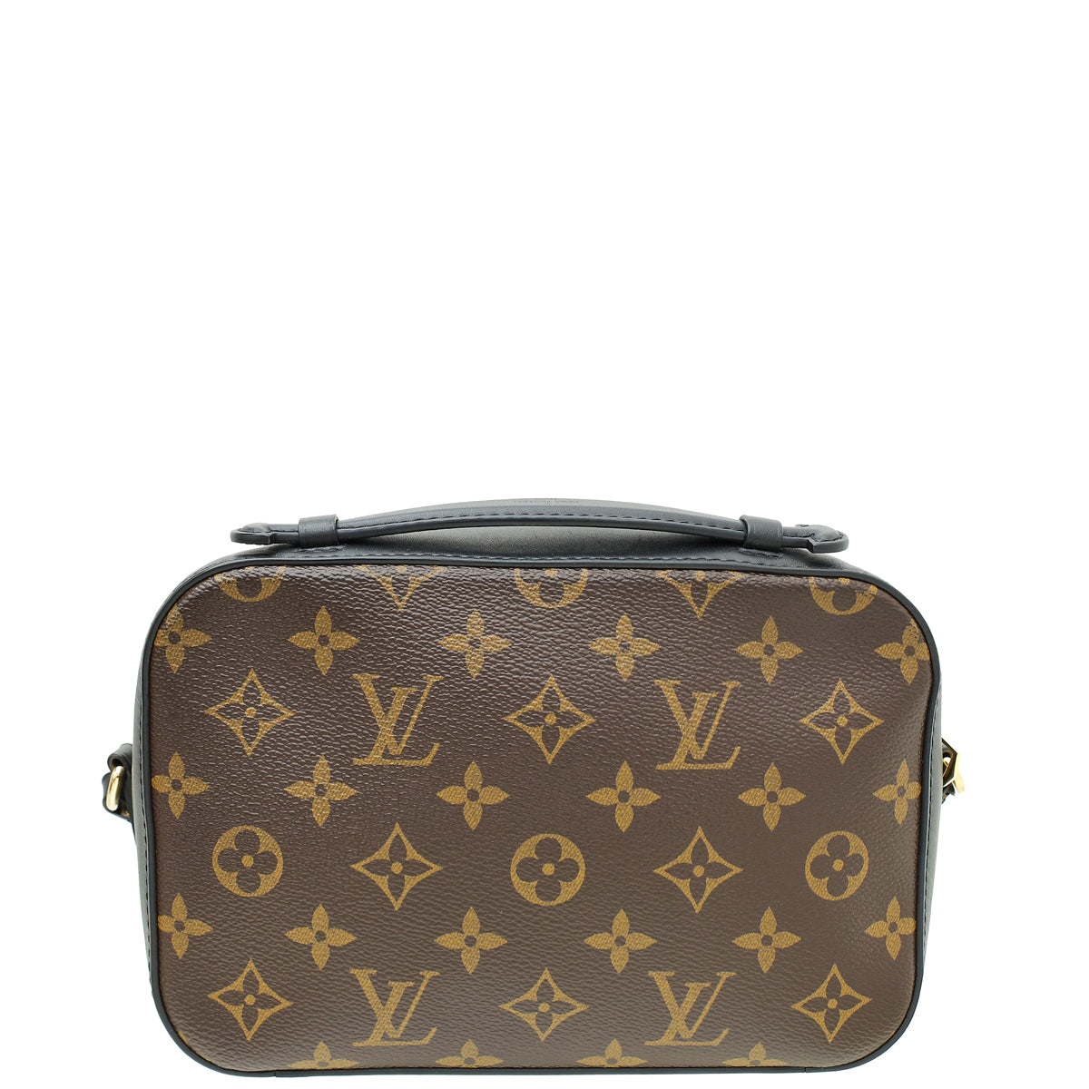 Louis Vuitton Bicolor Monogram Saintonge Bag