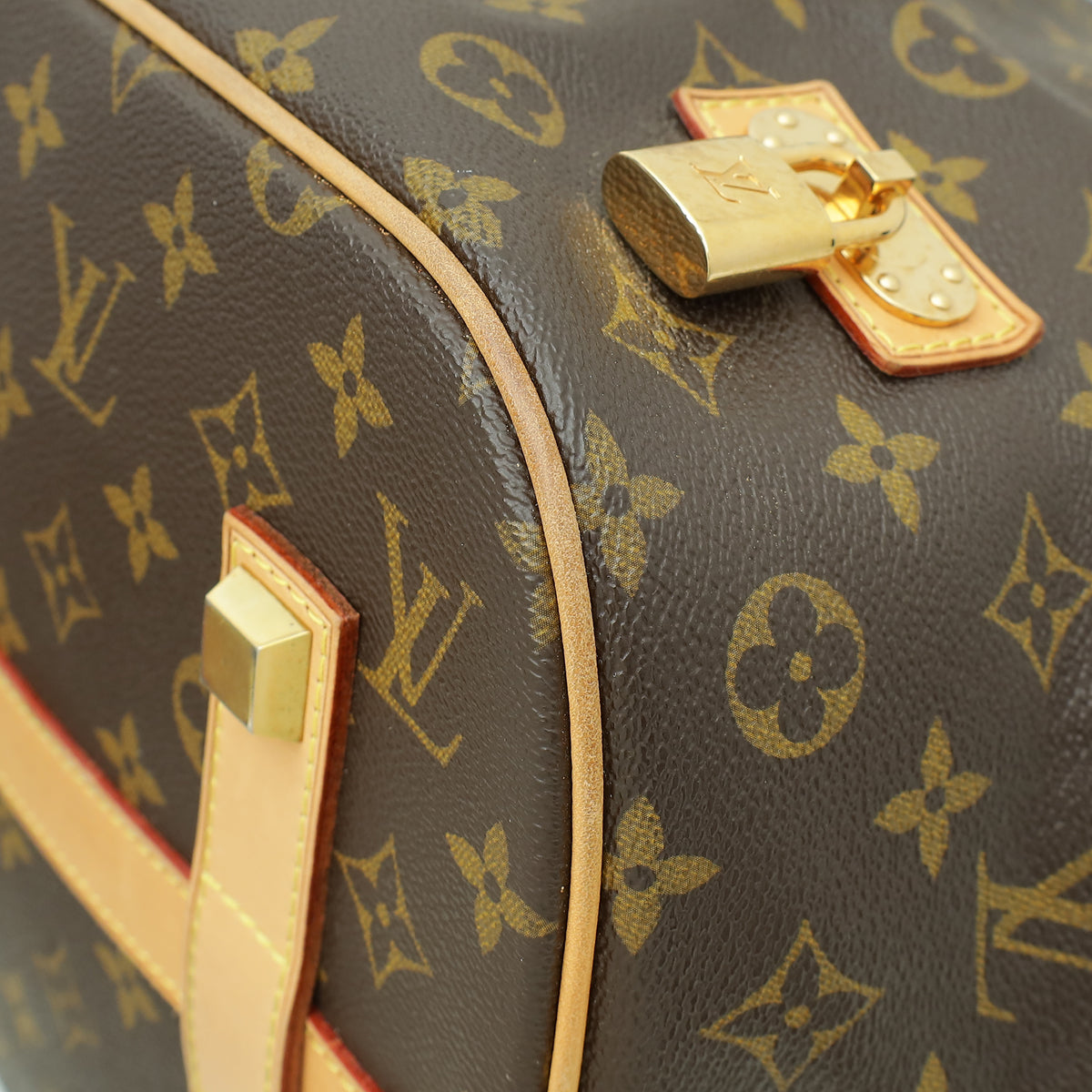 Louis Vuitton Monogram Eden Neo Bag