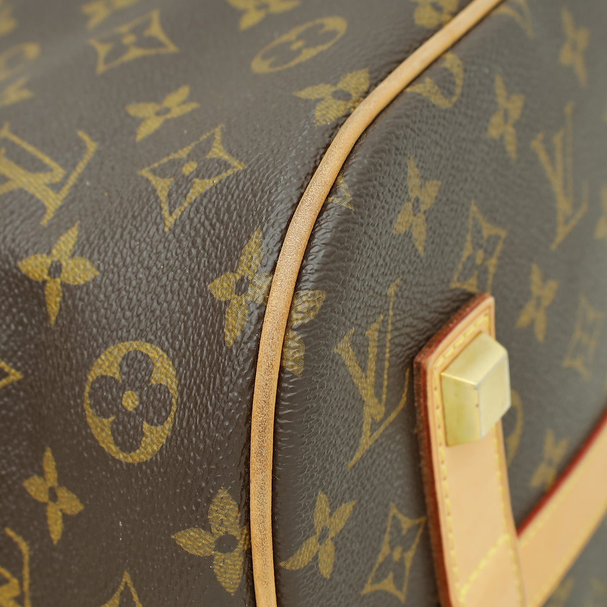 Louis Vuitton Monogram Eden Neo Bag