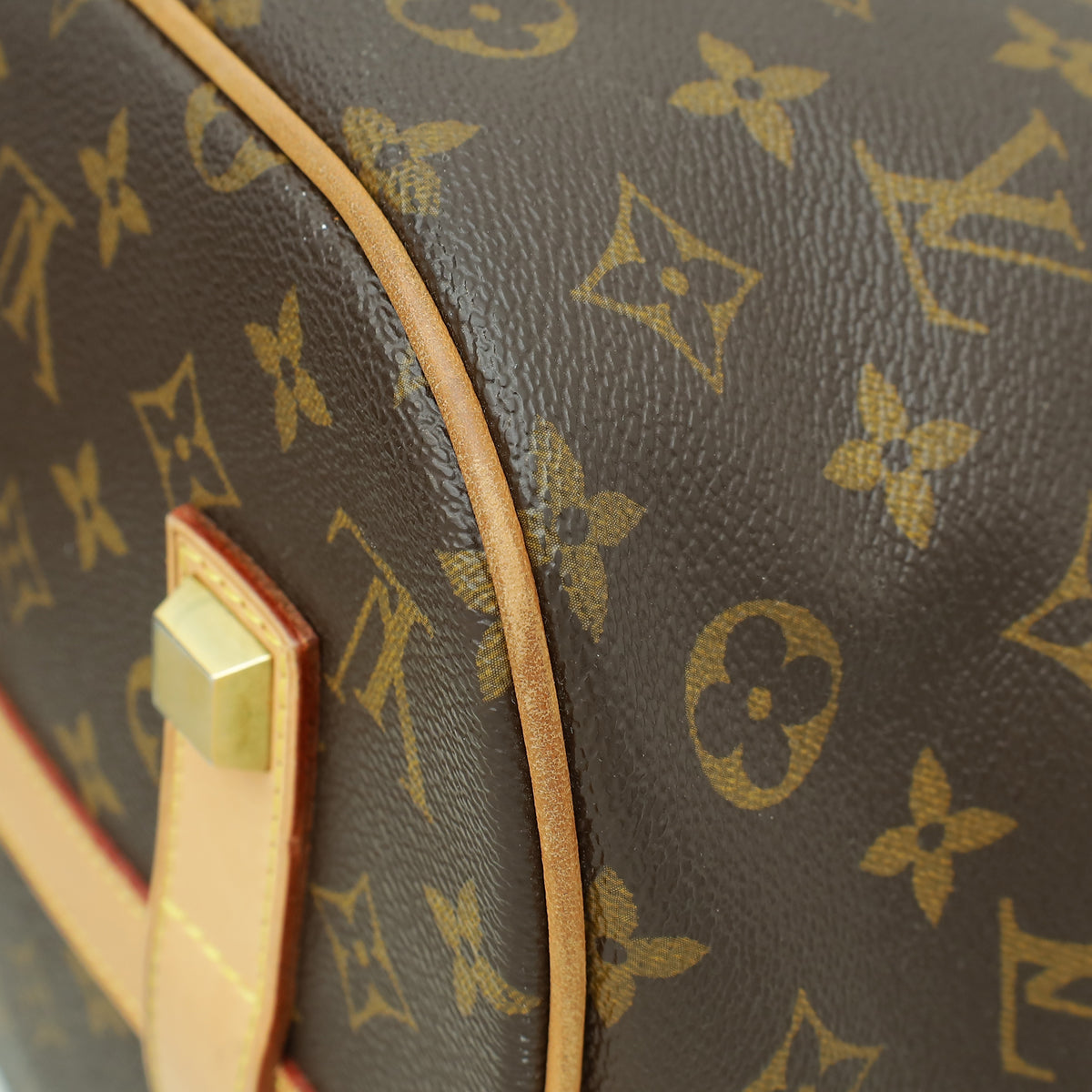 Louis Vuitton Monogram Eden Neo Bag