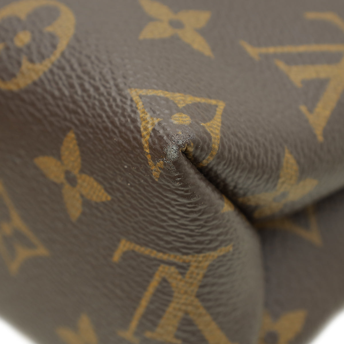 Louis Vuitton Monogram & Calf Saint Placide Bag