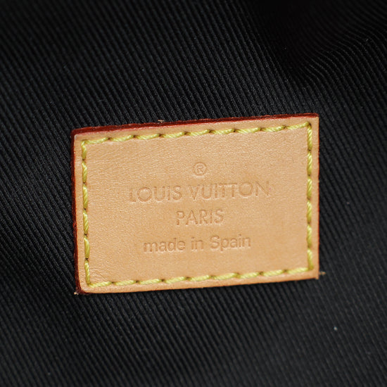 Louis Vuitton Brown Monogram Bumbag