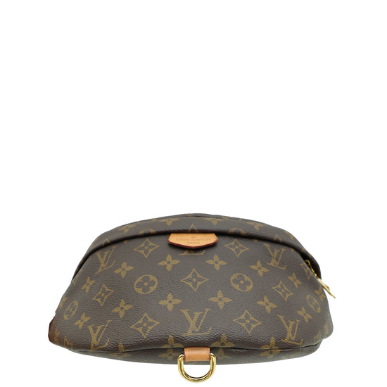 Louis Vuitton Brown Monogram Bumbag