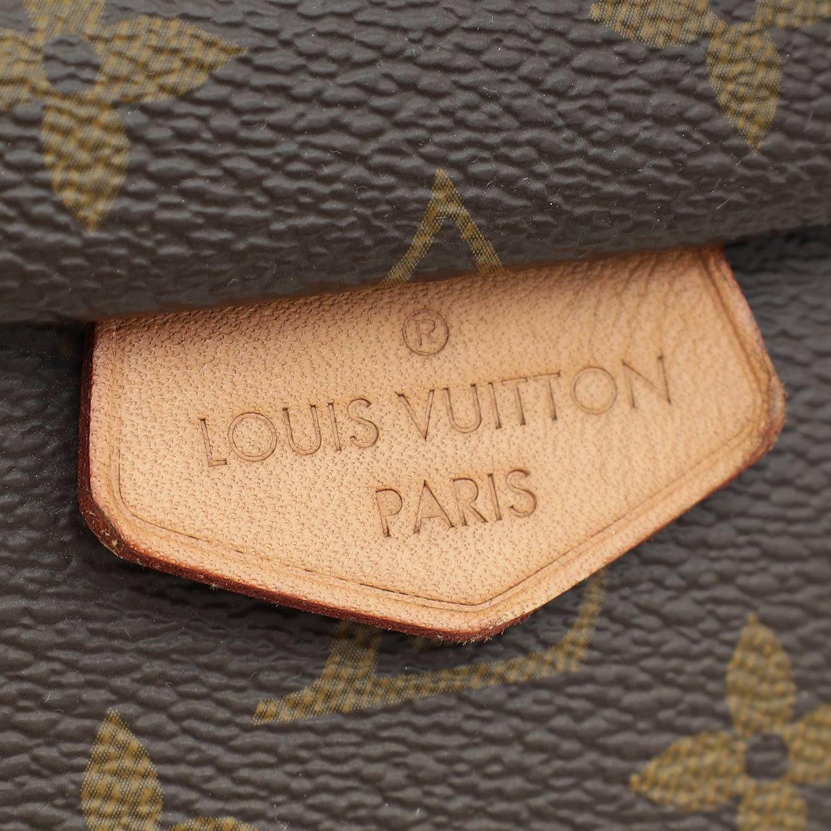 Louis Vuitton Brown Monogram Bumbag