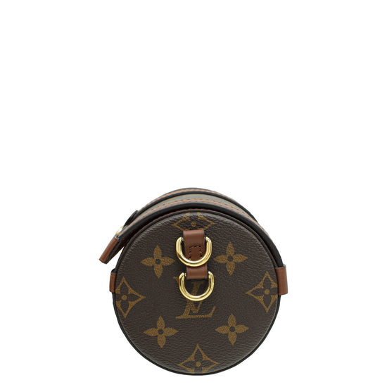 Louis Vuitton Monogram Brown Papillon Trunk Bag