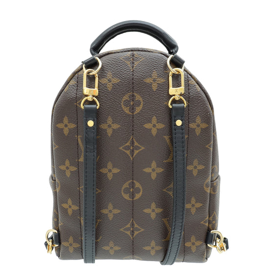 Louis Vuitton Monogram Mini Palm Springs Backpack Bag