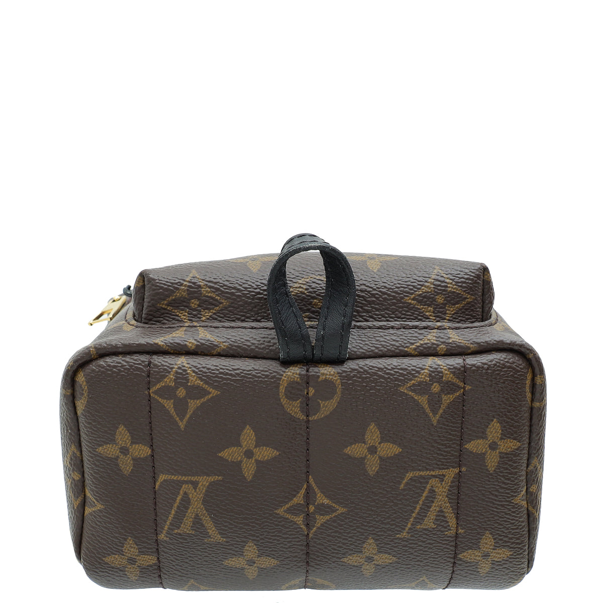 Louis Vuitton Monogram Mini Palm Springs Backpack Bag