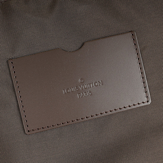 Louis Vuitton Damier Ebene Pegase 55 Bag