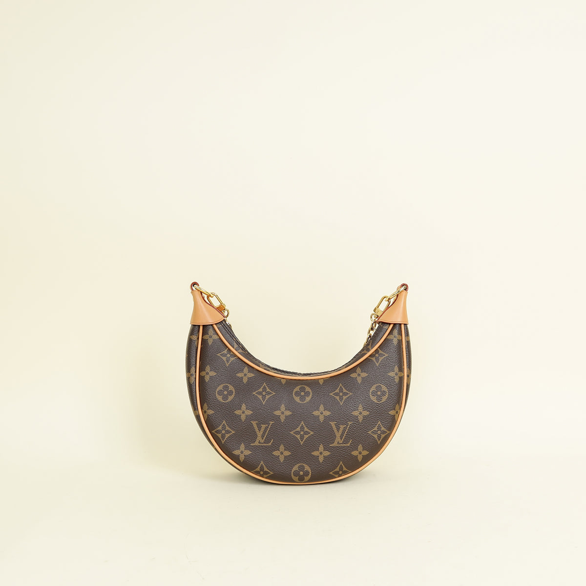 Louis Vuitton Monogram Loop Bag