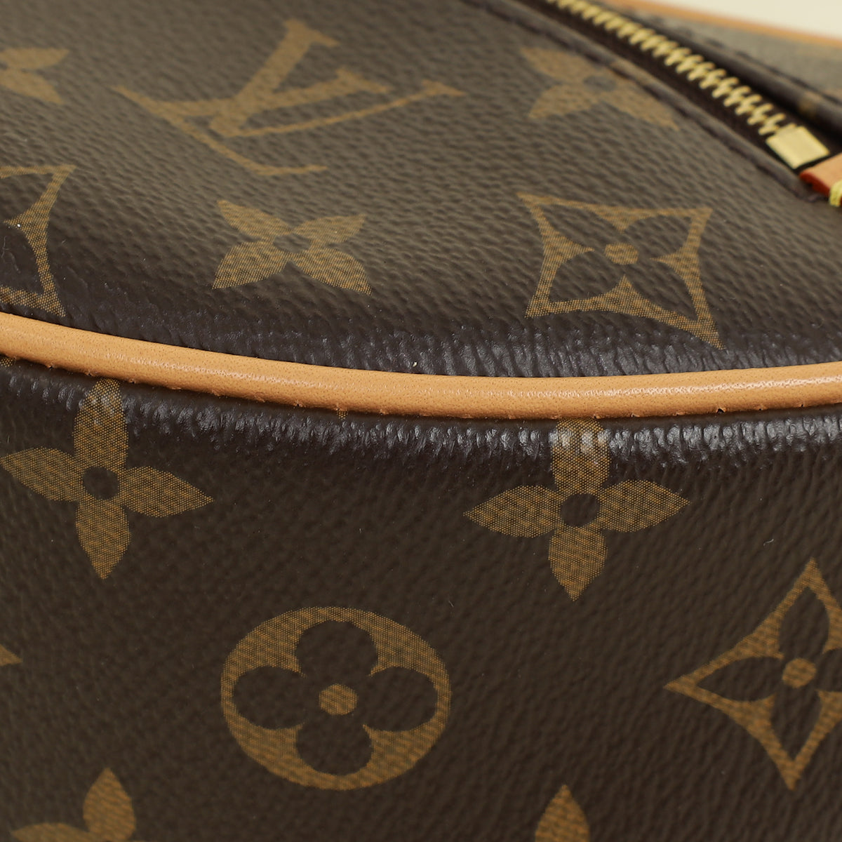 Louis Vuitton Monogram Loop Bag