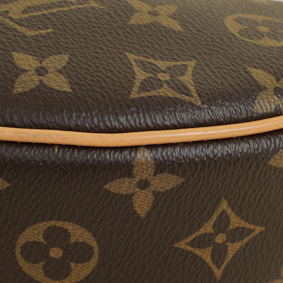 Louis Vuitton Monogram Loop Bag