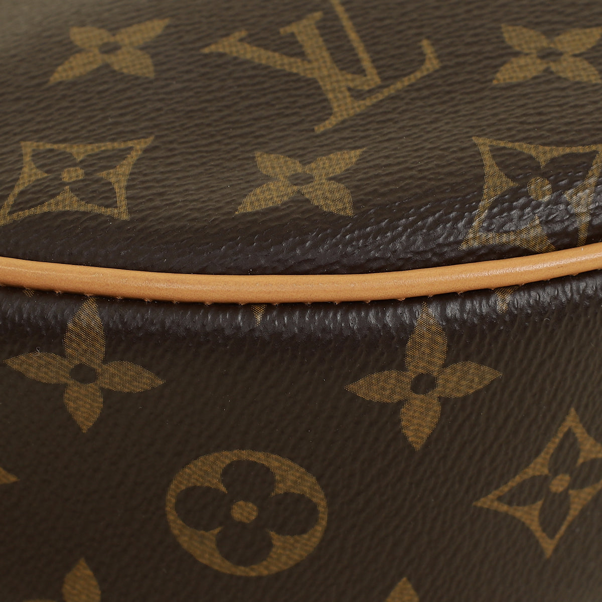 Louis Vuitton Monogram Loop Bag