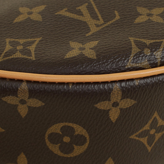 Louis Vuitton Monogram Loop Bag