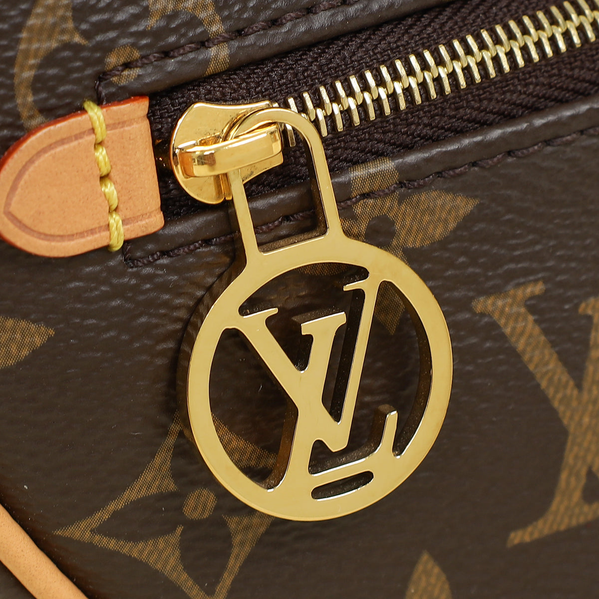 Louis Vuitton Monogram Loop Bag