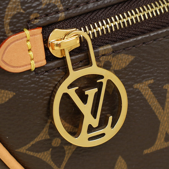Louis Vuitton Monogram Loop Bag