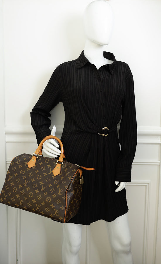 Louis Vuitton Brown Monogram Speedy 30 Bag
