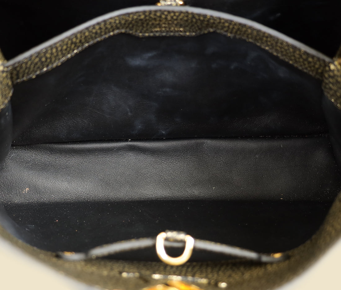 Louis Vuitton Bicolor Capucines MM Bag