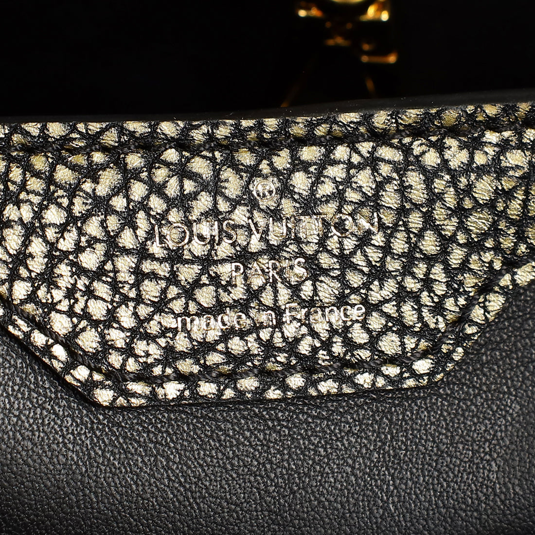 Louis Vuitton Bicolor Capucines MM Bag