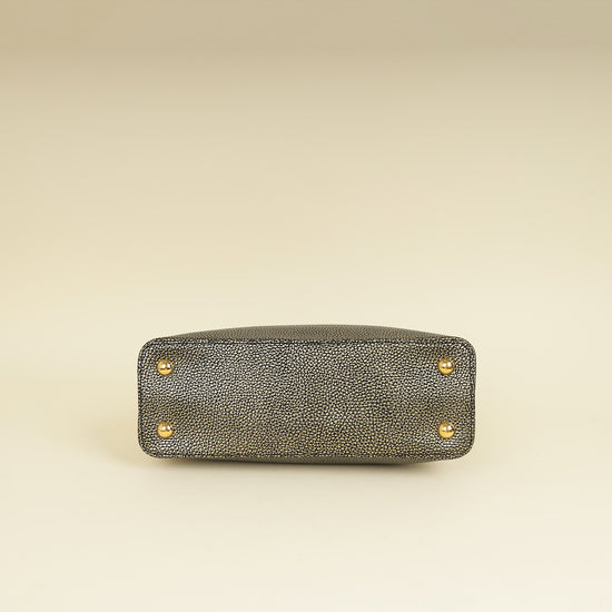 Louis Vuitton Bicolor Capucines MM Bag