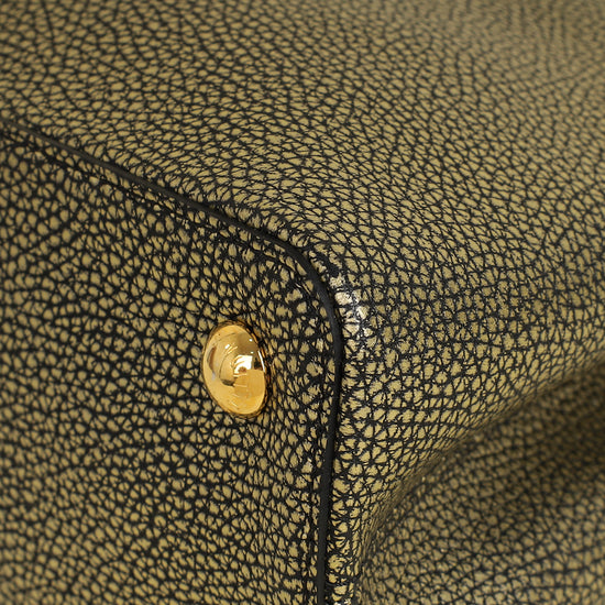 Louis Vuitton Bicolor Capucines MM Bag