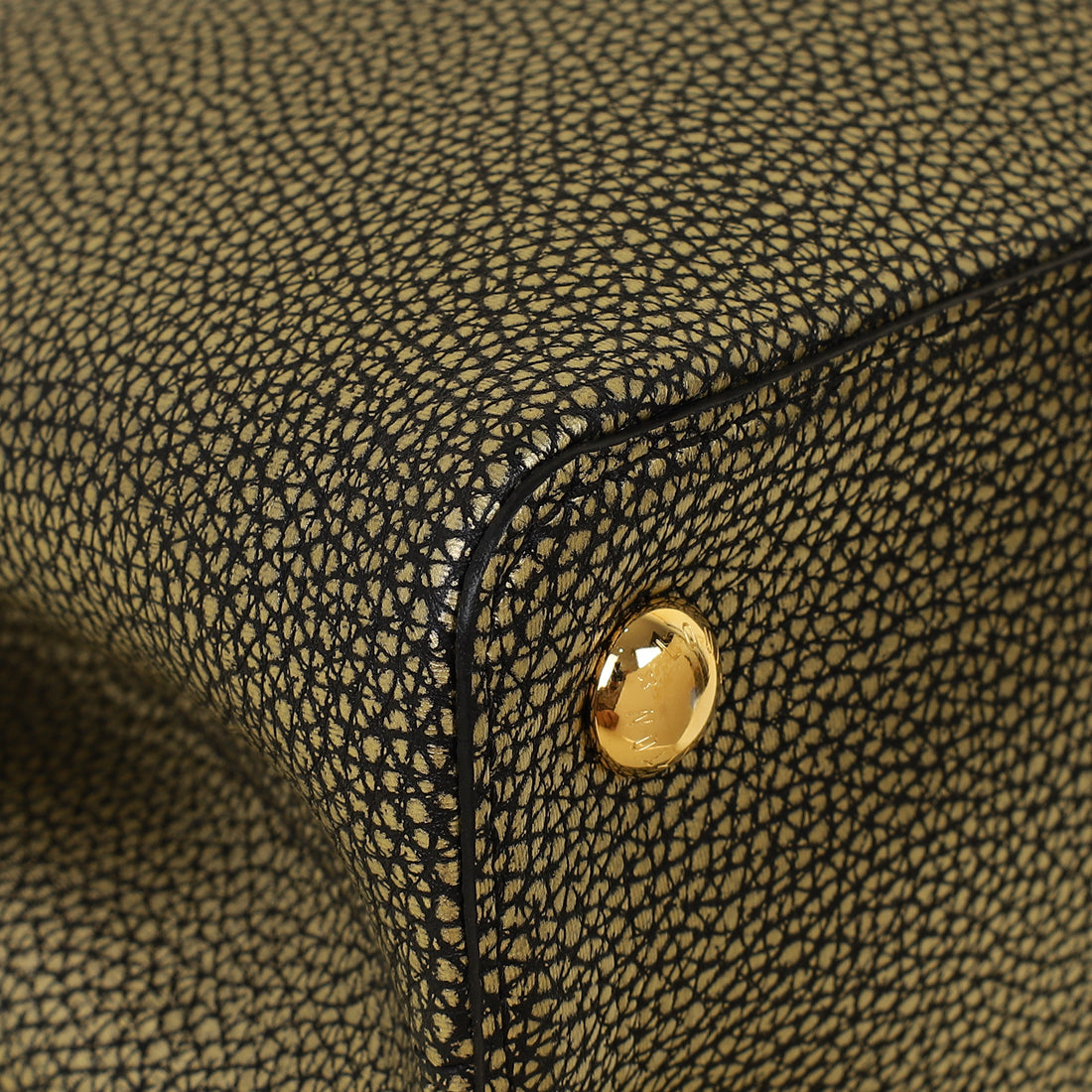 Louis Vuitton Bicolor Capucines MM Bag