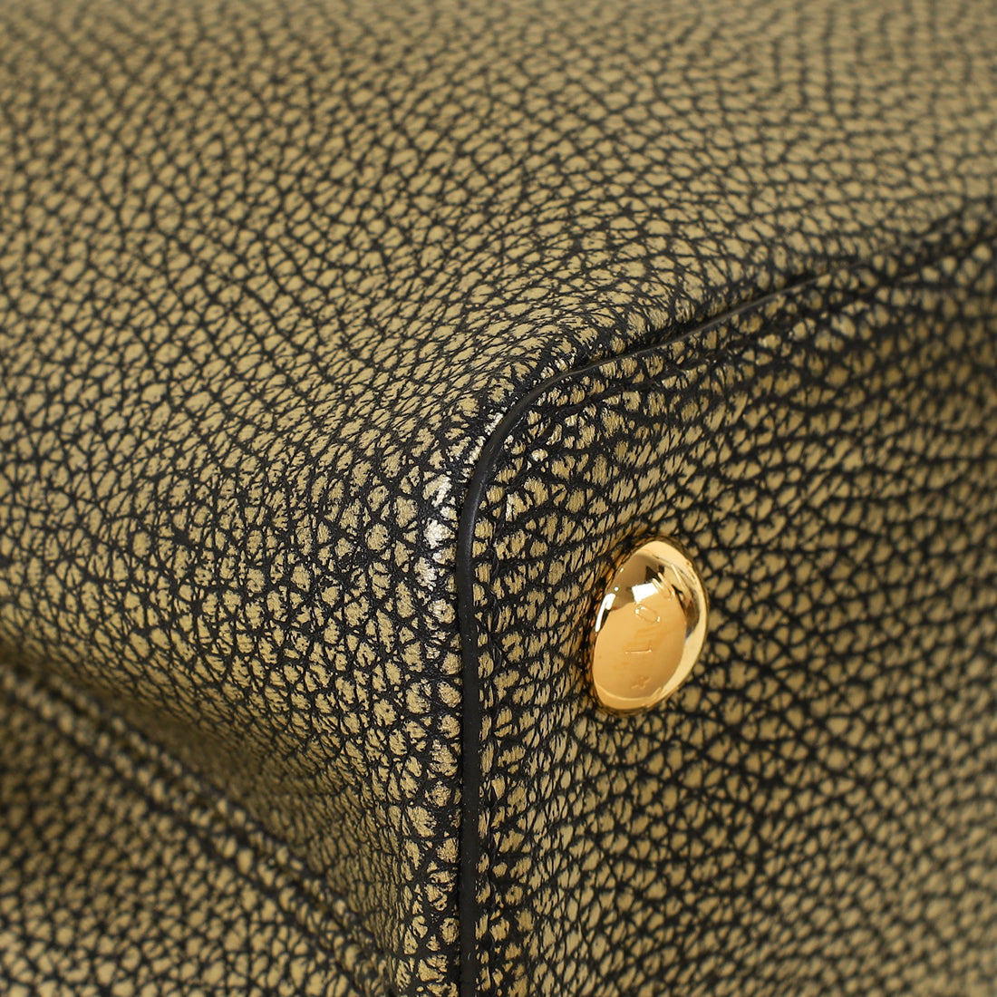 Louis Vuitton Bicolor Capucines MM Bag