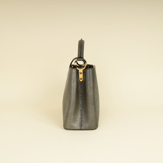 Louis Vuitton Bicolor Capucines MM Bag