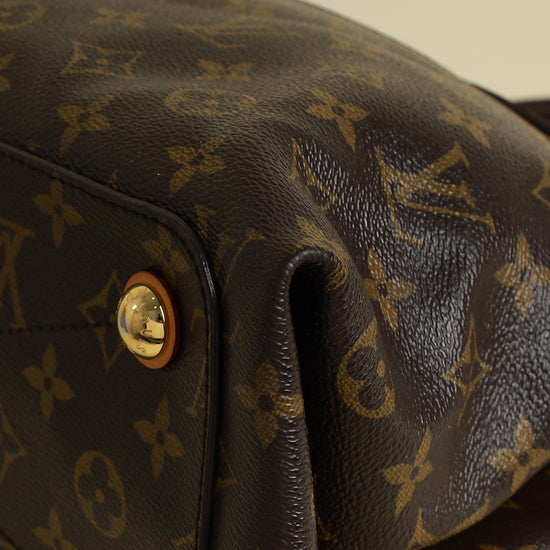 Louis Vuitton Bicolor Monogram Olympe Bag