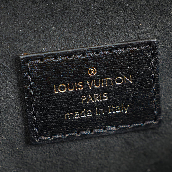 Louis Vuitton Bicolor Monogram/Reverse Vanity Chain Pouch