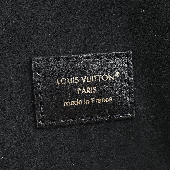 Louis Vuitton Monogram Reverse Vanity PM Bag
