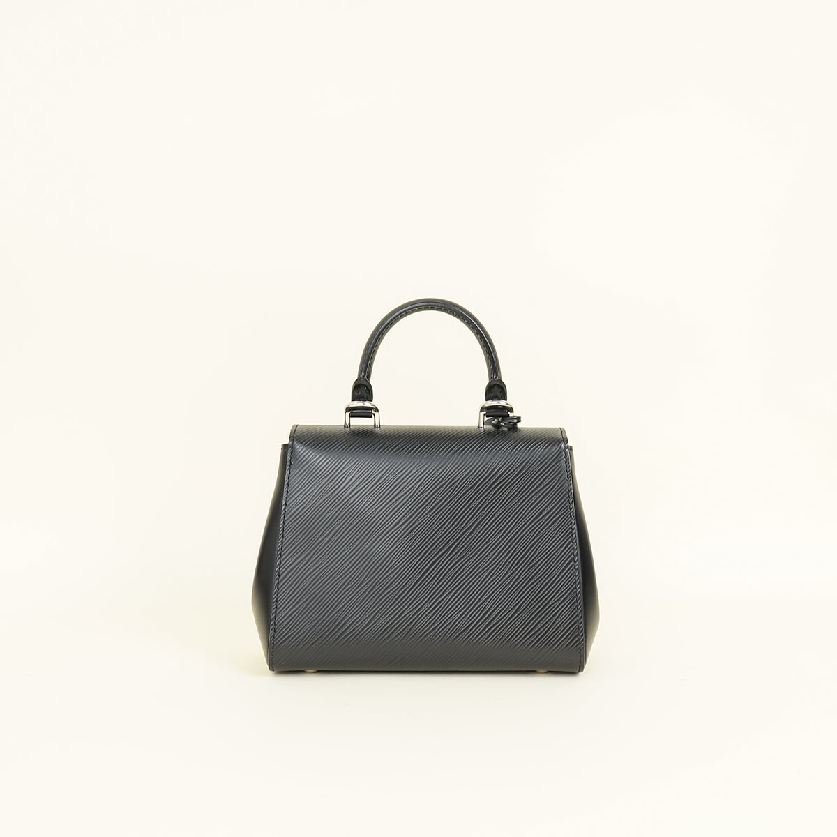 Louis Vuitton Black Cluny Mini Bag