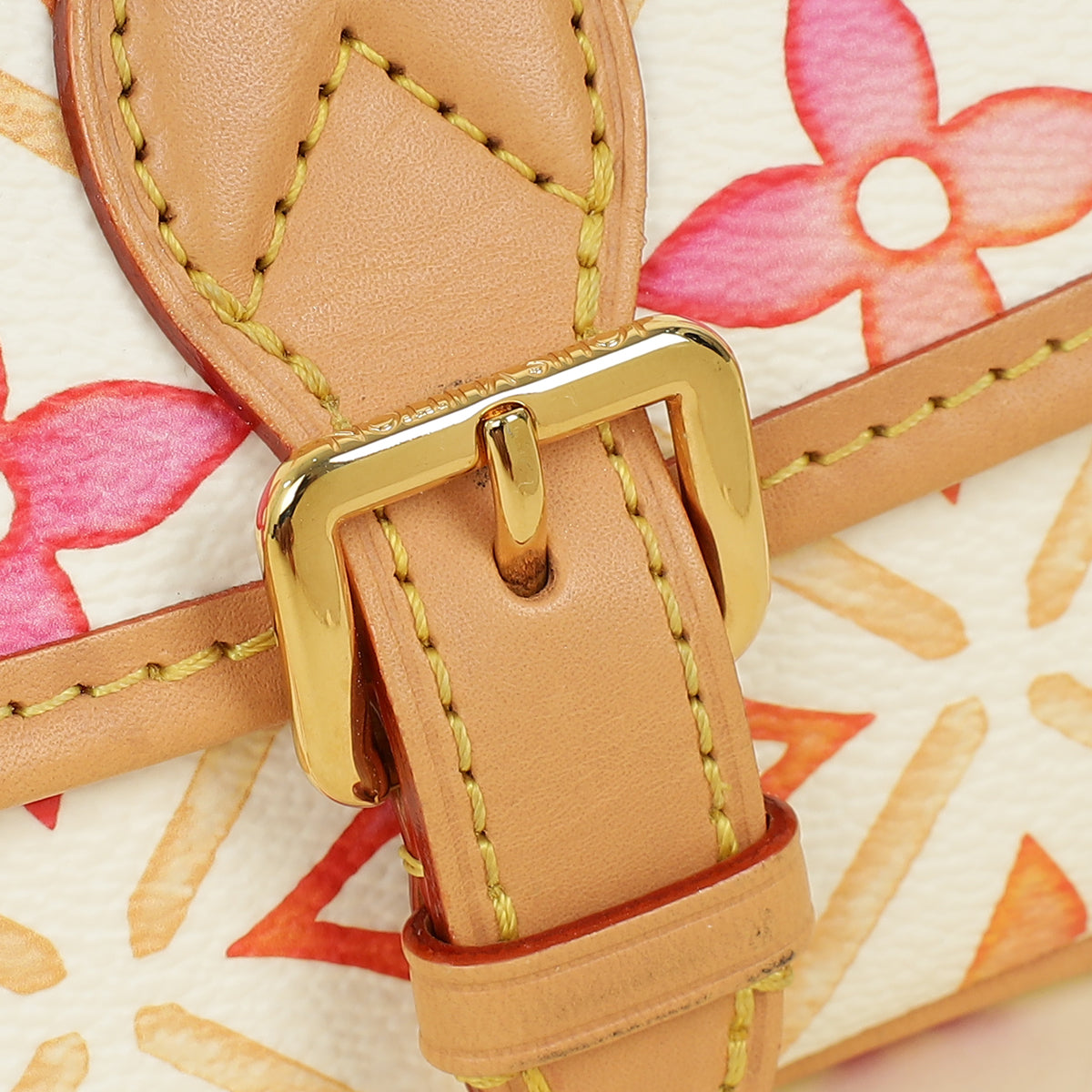 Louis Vuitton Coral By the Pool Summer Nano Diane Bag