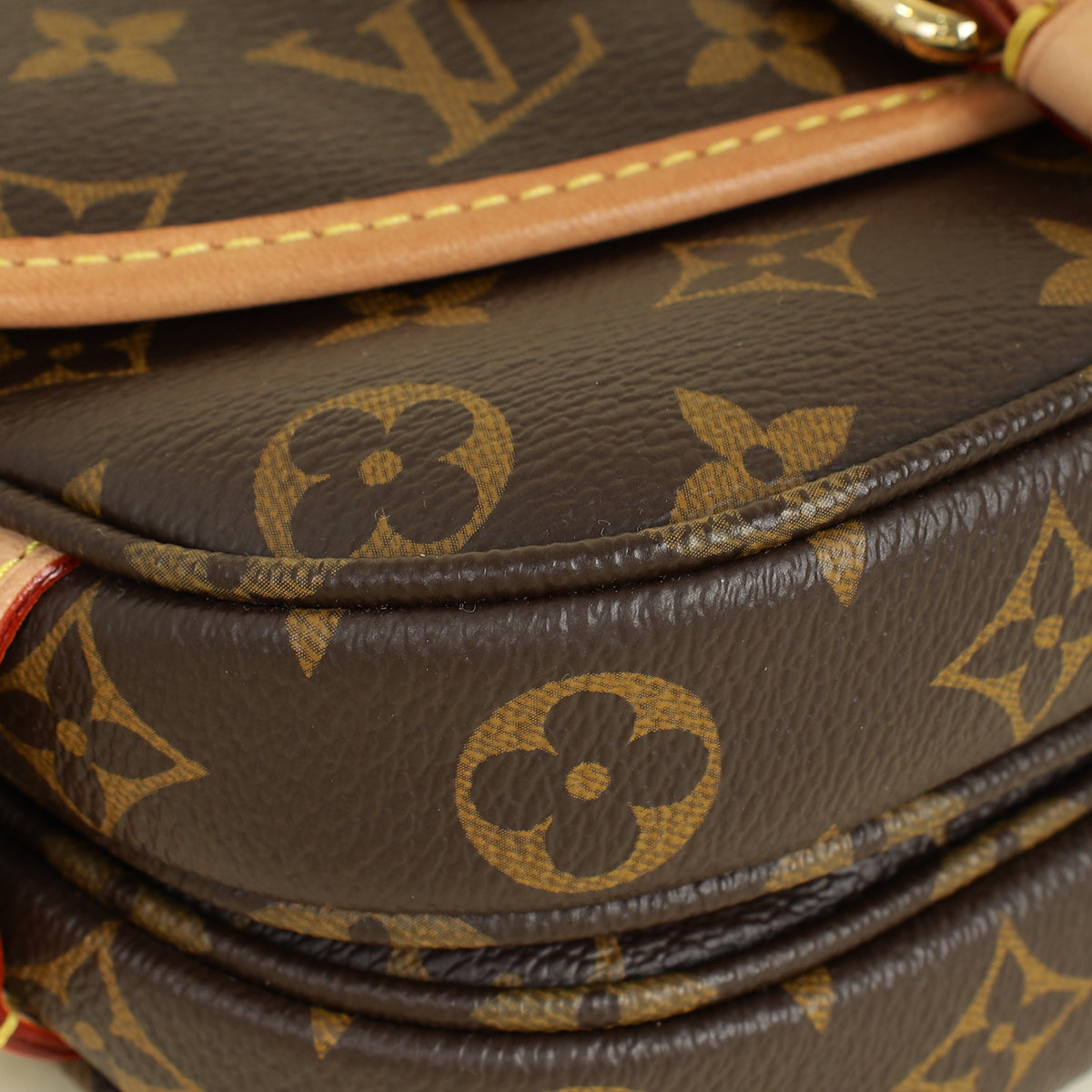 Louis Vuitton Monogram Saumur BB Bag