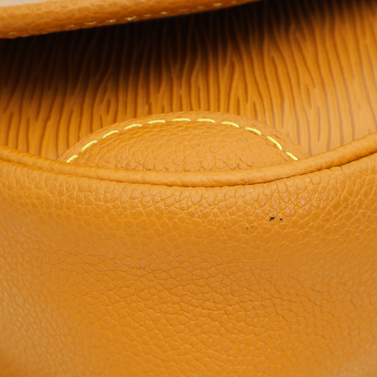 Louis Vuitton Honey Gold Buci Bag